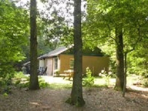vakantiehuis Nederland Drenthe