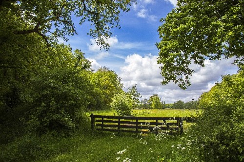 vakantiehuis Nederland Drentsche Aa, Drenthe