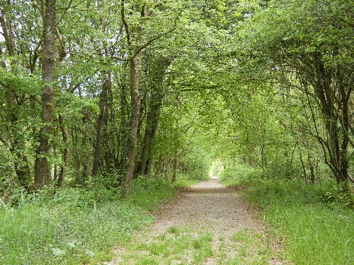 vakantiehuis Nederland Groningen