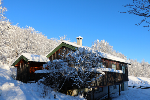 vakantiehuis Noorwegen Hallingdal