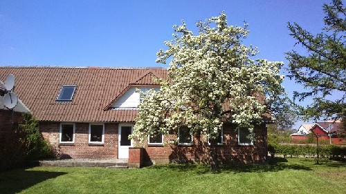 vakantiehuis Denemarken Jutland