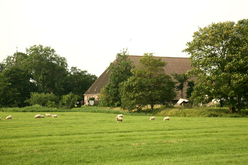 vakantiehuis Nederland N/W Friesland