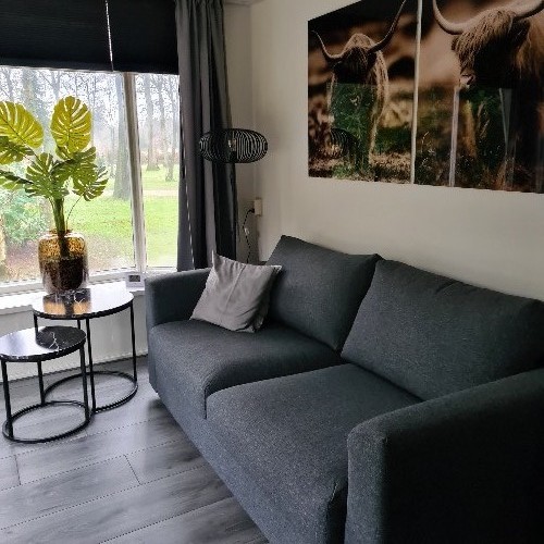 vakantiehuis Nederland Gelderland