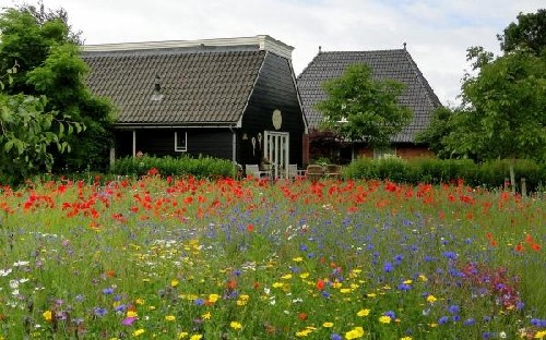 vakantiehuis Nederland Drenthe