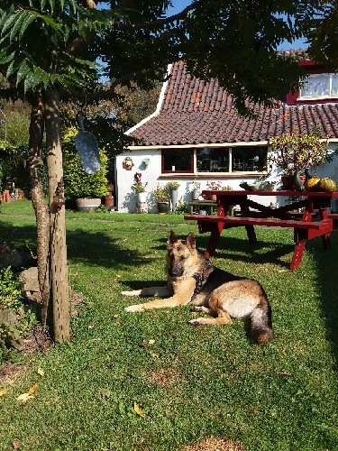 vakantiehuis Nederland Noord-Holland