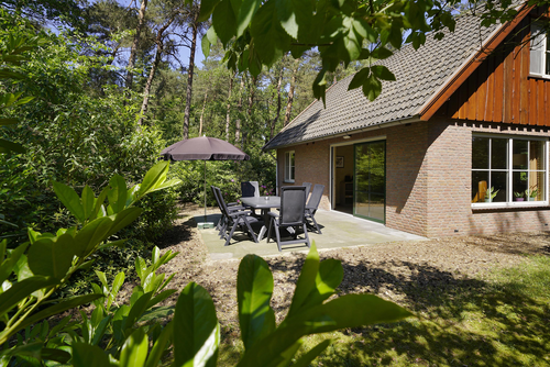 vakantiehuis Nederland Overijssel