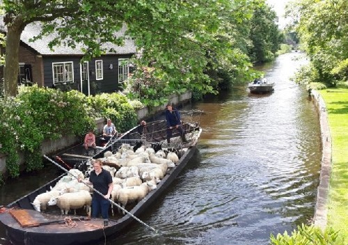 vakantiehuis Nederland Overijssel