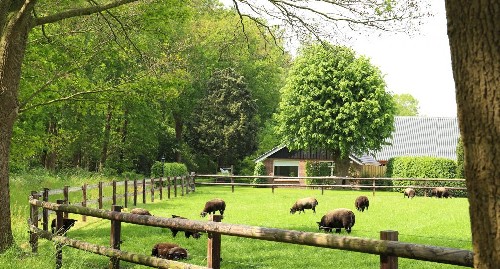 vakantiehuis Nederland Overijssel