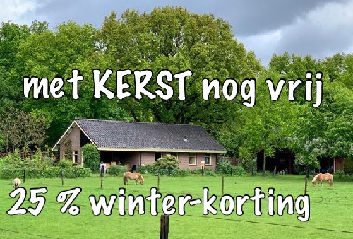 vakantiehuis Nederland Overijssel