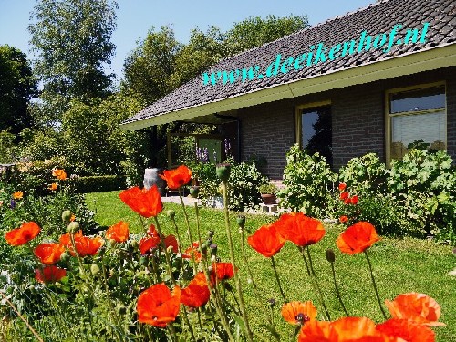 vakantiehuis Nederland Overijssel