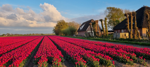 vakantiehuis Nederland Schagen/ Noord-Holland