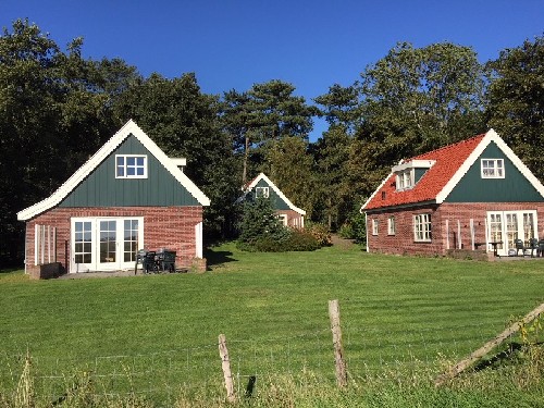 vakantiehuis Nederland Texel - Dennenbos