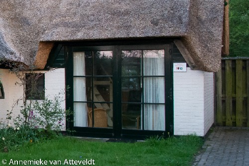 vakantiehuis Nederland Texel