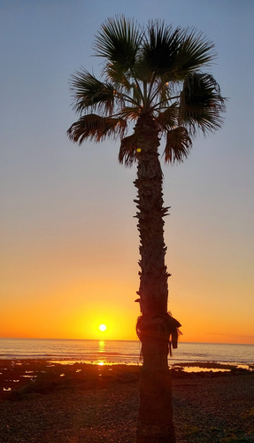 vakantiehuis Spanje Valencia