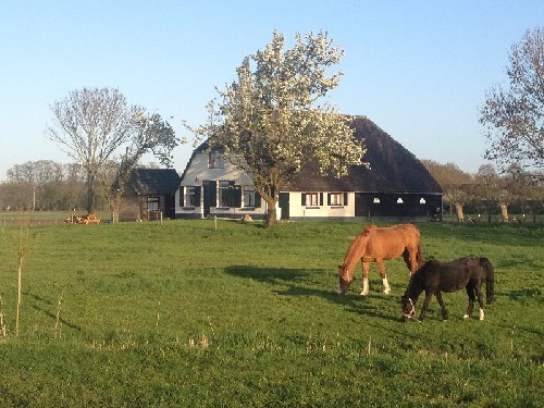 vakantiehuis Nederland Veluwe Gelderland