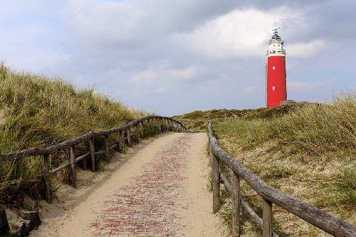 blog Post Texel