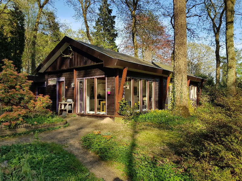 Vakantiehuis Gelderland Veluwe Oosterbeek Boshuis Oosterbeek Oosterbeek huren